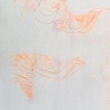 Whorl