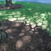 detail, Things Have to be Imagined to be Changed