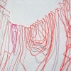 Whorl, detail
