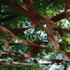 detail, Things Habve to Be Imagined to be Changed