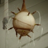 detail Membranes