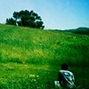 Portola Valley, CA