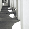 The path