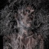 Black Feathered Twin II