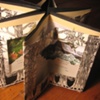 Bruce's Birthday Book