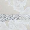 Entanglement (detail)