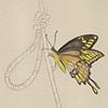 Giant Swallowtail & Knot