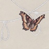Milbert's Tortoiseshell and Pruskit Knots