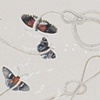 Formation (detail)