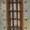 birch