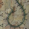 bark