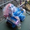 Apoca' Pony