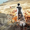 The Walk