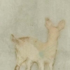 Dearly Deer