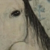 Horse Head