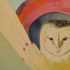 its a hoot