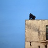Studio Visitor, Blue Sky