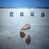 Two Rocks and a Shell