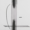 Graphic Score 12