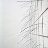 Fine Point - detail