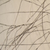 Travel Detail