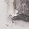 Untitled (Window) detail