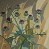 California Thistle