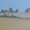 Grundy County Landscape