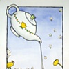 Illustrations