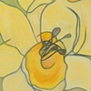 Deconstructed Daffodil