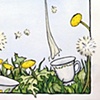 Dandelion Tea