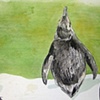 Penguins