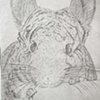 Portrait of a Stinker