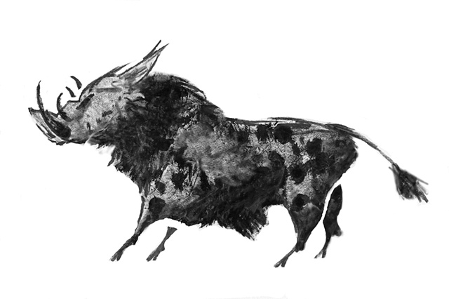 Wart hog