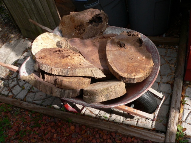 Wood bases to be