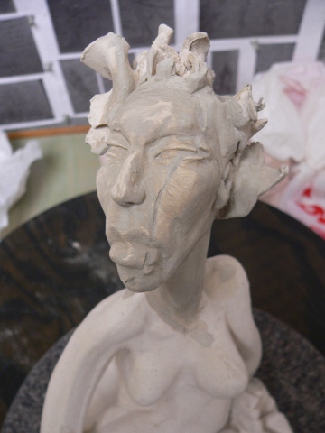 face repair