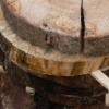 Drying wood
