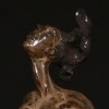 "Matriarch"
