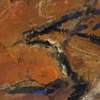 Racing antelope