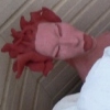 Before  firing