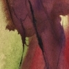Red Legs
