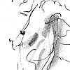 Standing female figure
