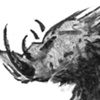 Wart hog