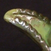 "Green Gator"-SOLD