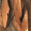 Rustic Interpretation