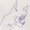 Birdcat