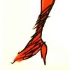 Which Witch