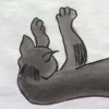 Birdcat sleeping