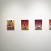On the Nature of Things, Marine Contemporary, Venice, CA 2012
