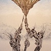 "Palengenesis; Chernobyl's Rebirth"